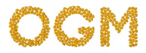 ogm