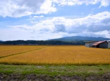 Recherche en France : décarbonisation des secteurs agricoles et l’usage des terres