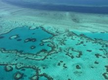 Les chercheurs s’efforcent de trouver des solutions face au changement climatique