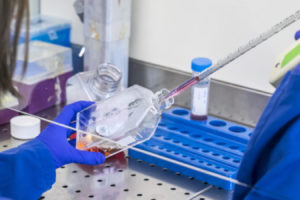 Universités françaises : promouvoir la recherche biomédicale en France