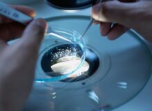 Fondation de France / Prix Jean Valade pour la Recherche Médicale 2026