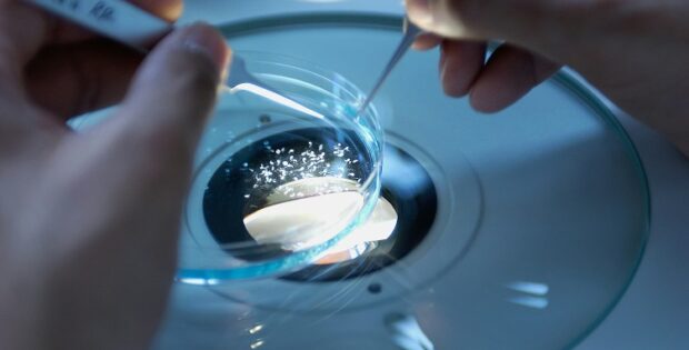 Fondation de France / Prix Jean Valade pour la Recherche Médicale 2026