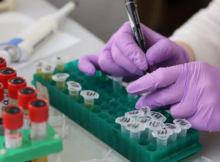 Cancer : les résistances aux traitements, un défi clé pour la recherche