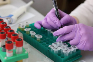 Cancer : les résistances aux traitements, un défi clé pour la recherche