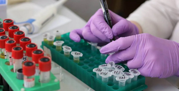 Cancer : les résistances aux traitements, un défi clé pour la recherche