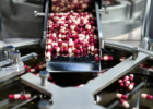Souveraineté pharmaceutique : la France cherche à reconstruire sa capacité de production
