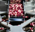 Souveraineté pharmaceutique : la France cherche à reconstruire sa capacité de production